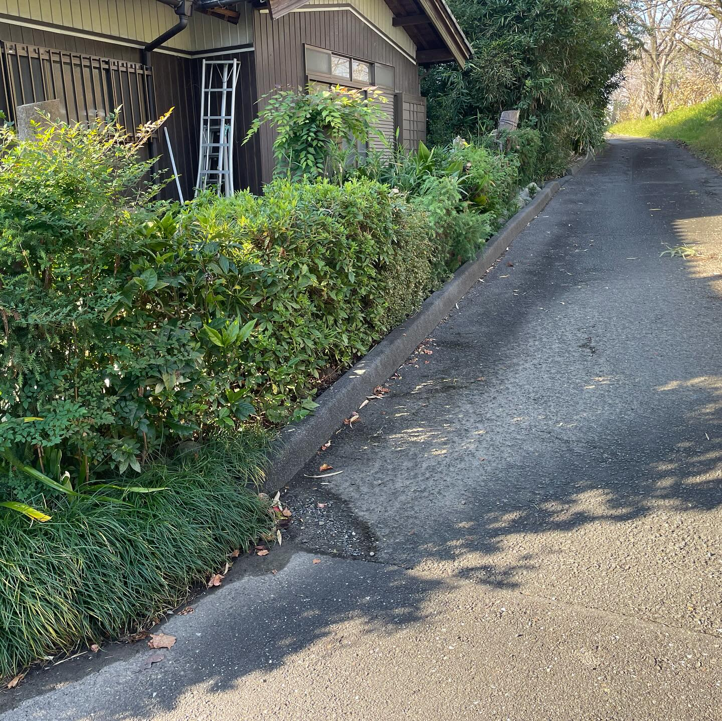 岐阜県輪之内で、お庭のリフォームをお手伝いさせていただきまし...