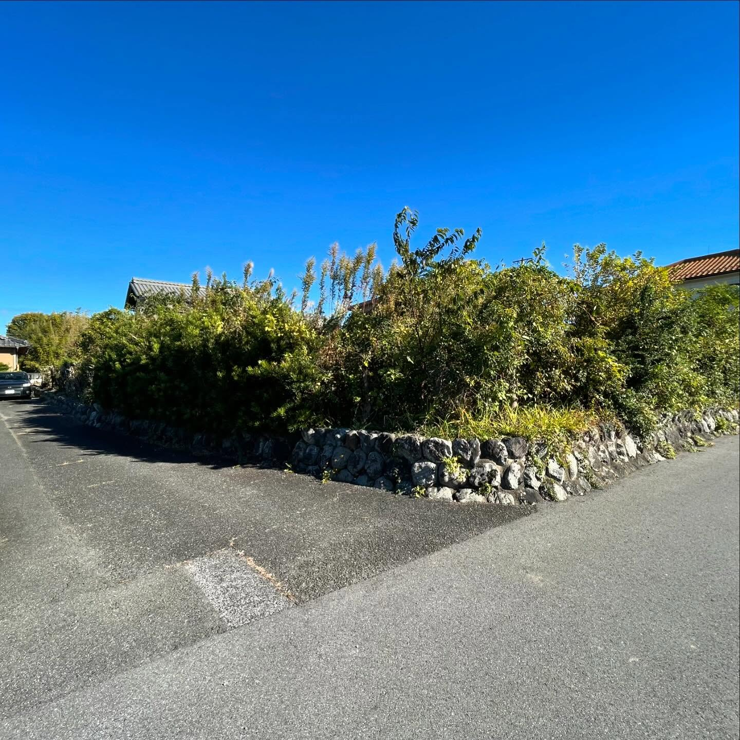 岐阜県神戸町にて、長年のお悩みだった樹木や草の管理問題を解決...