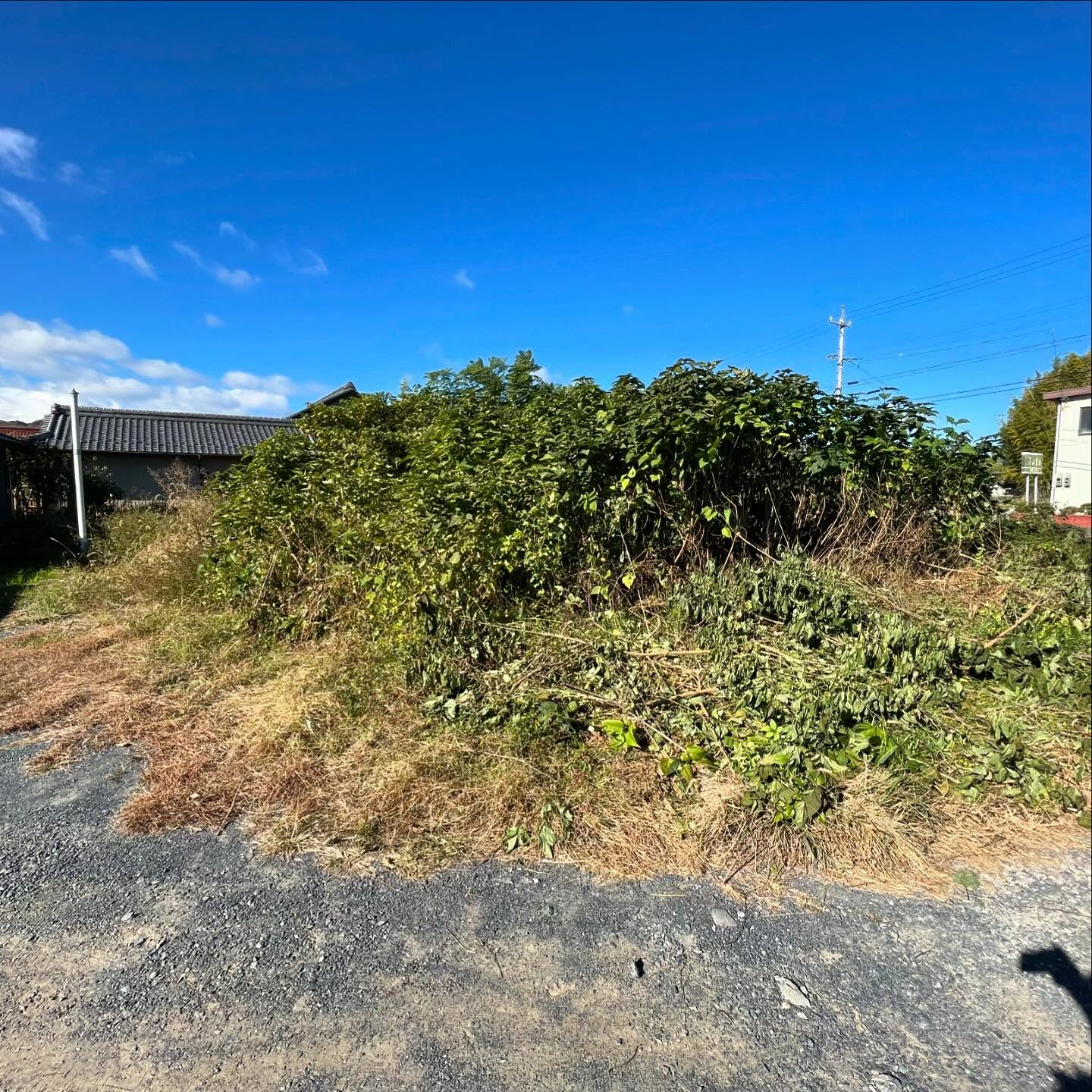 岐阜県神戸町にて、長年のお悩みだった樹木や草の管理問題を解決...