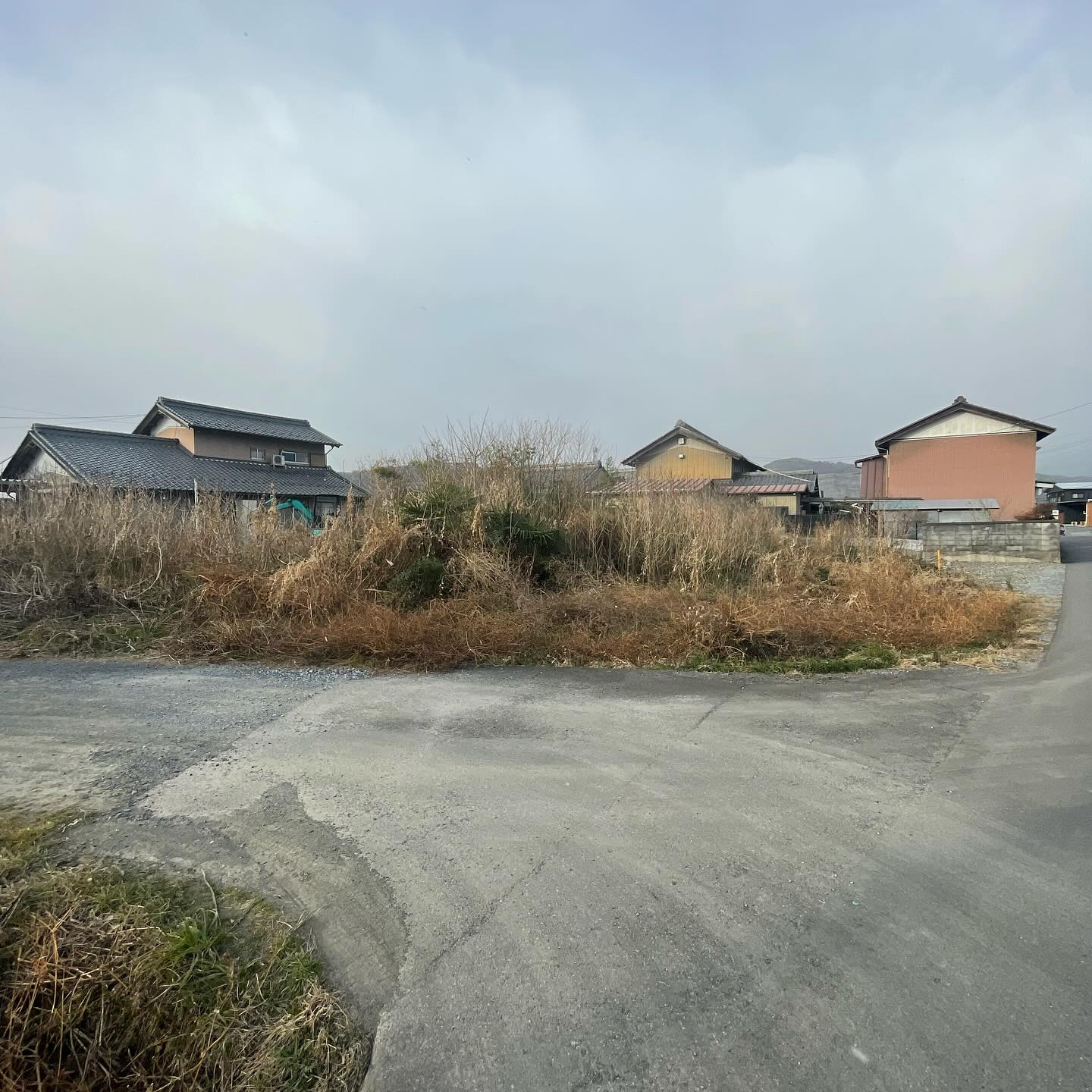 岐阜県神戸町にて、長年のお悩みだった樹木や草の管理問題を解決...