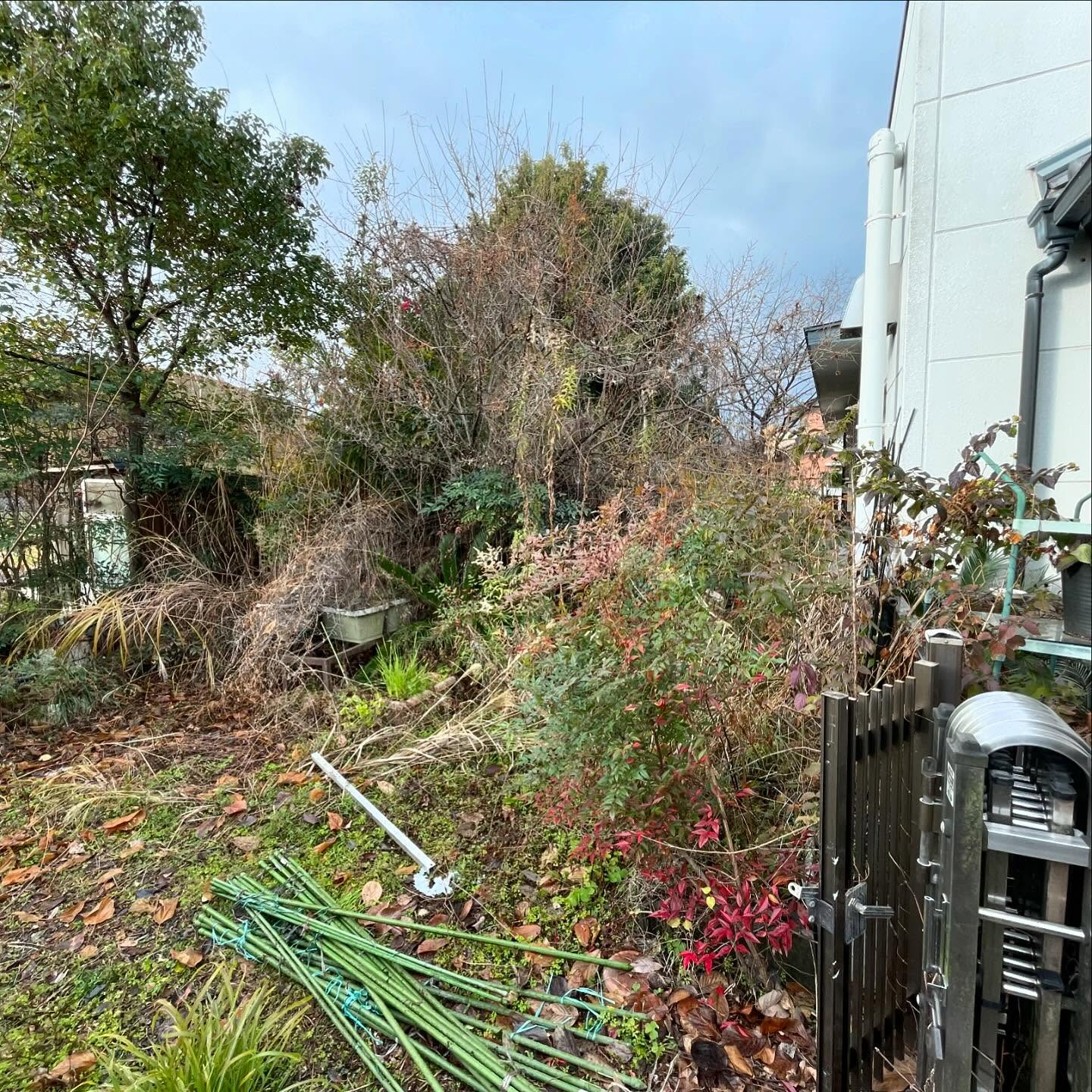 大垣市昼飯町にお住まいのお客様のガーデン🌳のリニューアルをお...