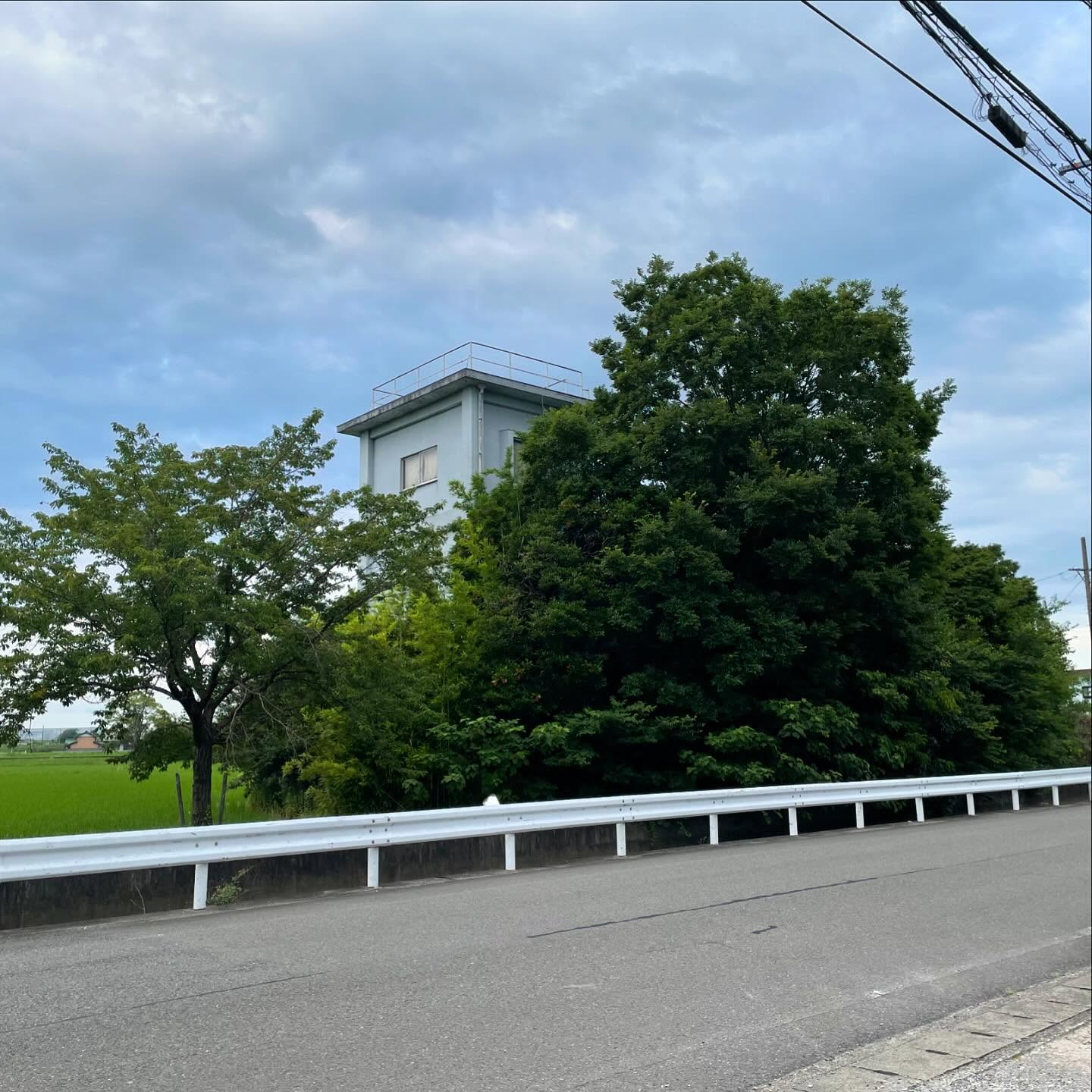 🚧🌿 こんにちは、皆さん！今回は岐阜県大垣市でのプロジェクト...