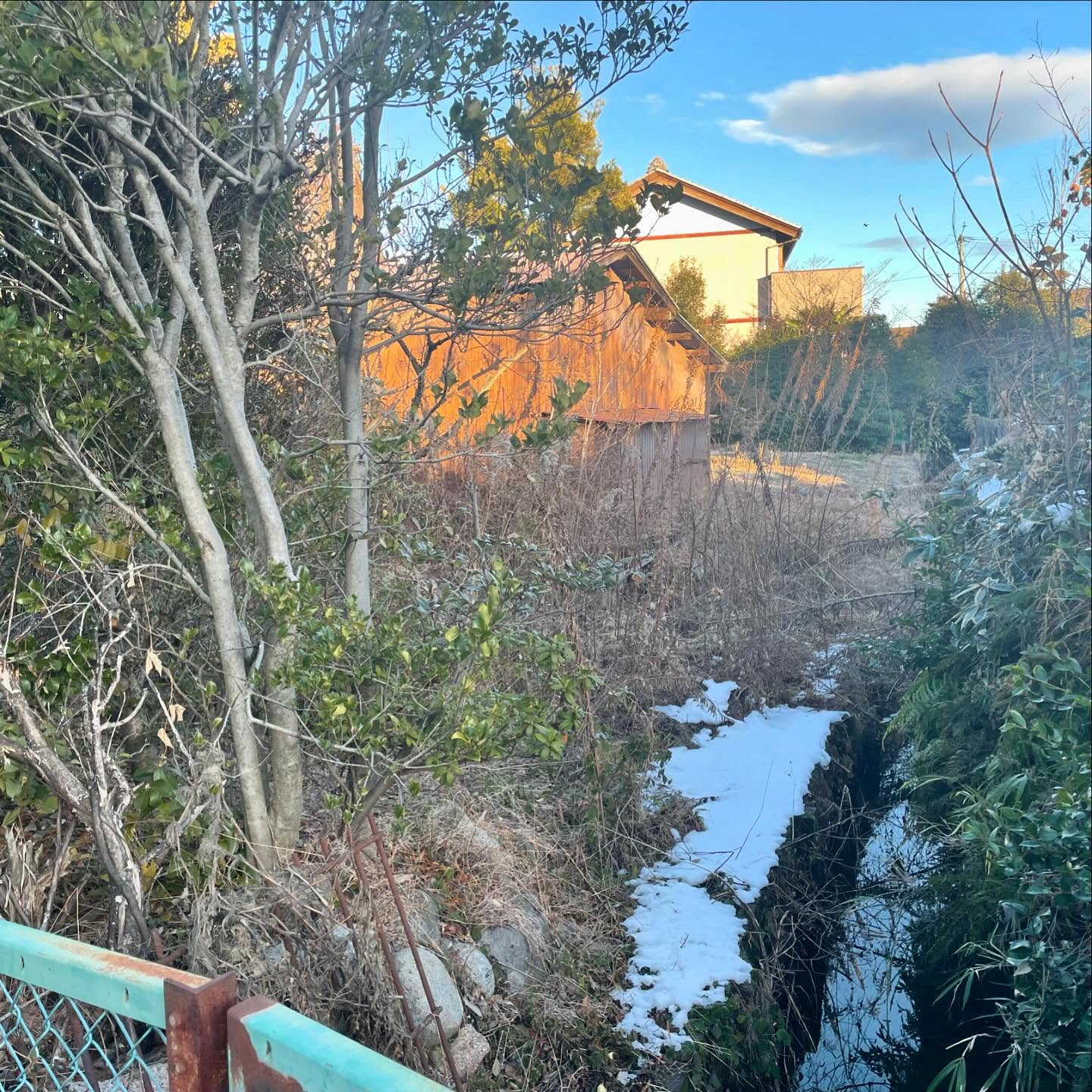 🌿岐阜県大垣市で庭園変身プロジェクトを遂行しました!✨毎年の...