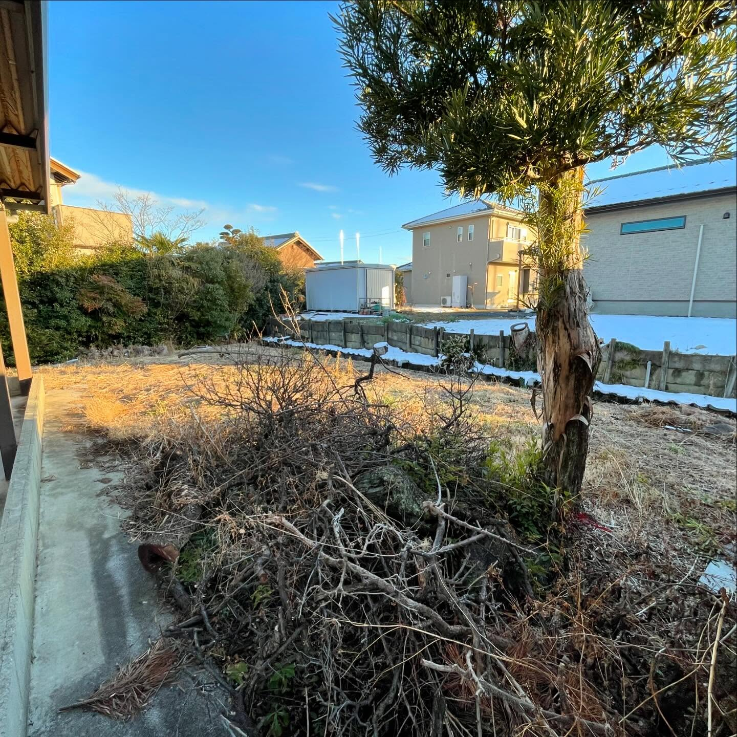 🌿岐阜県大垣市で庭園変身プロジェクトを遂行しました！✨毎年の...