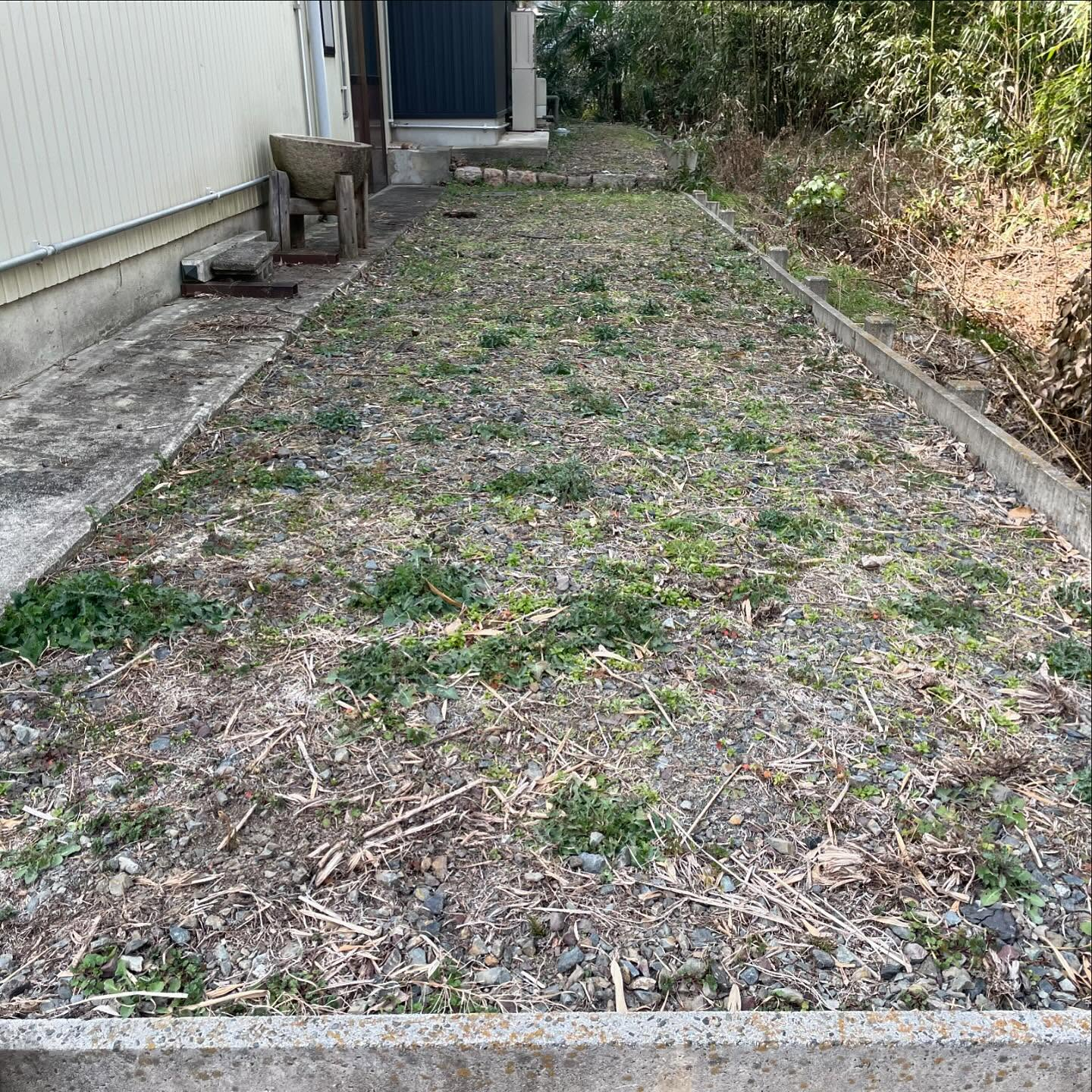 🌿岐阜県大垣市で庭園変身プロジェクトを遂行しました！✨毎年の...
