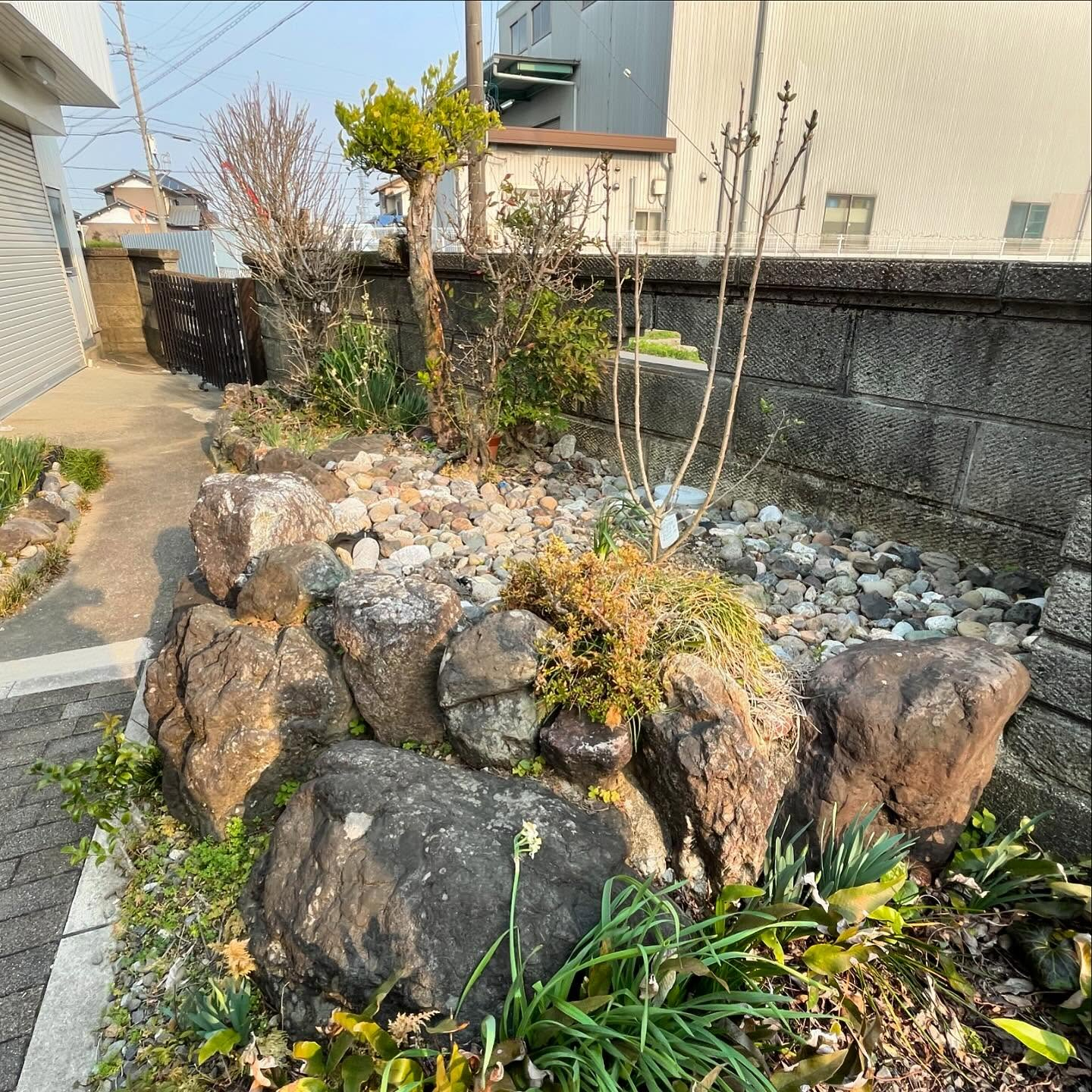 庭石撤去及び花壇の施工