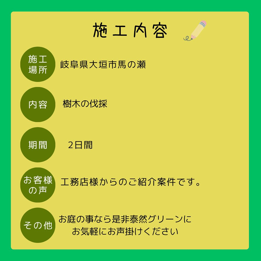 🌳【岐阜県大垣市にて樹木の伐採作業】🌿