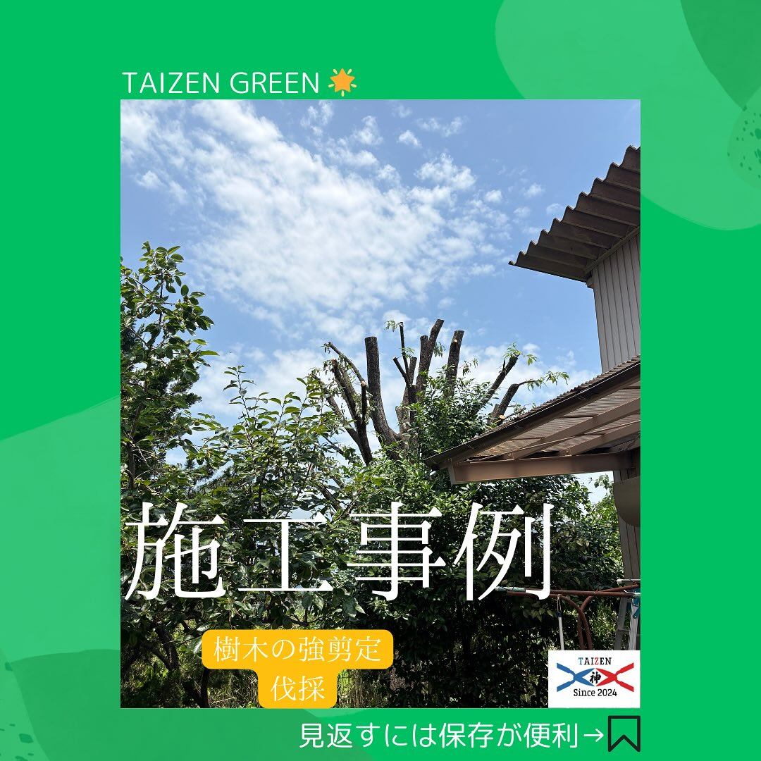 【岐阜県揖斐郡池田町にて🌲】