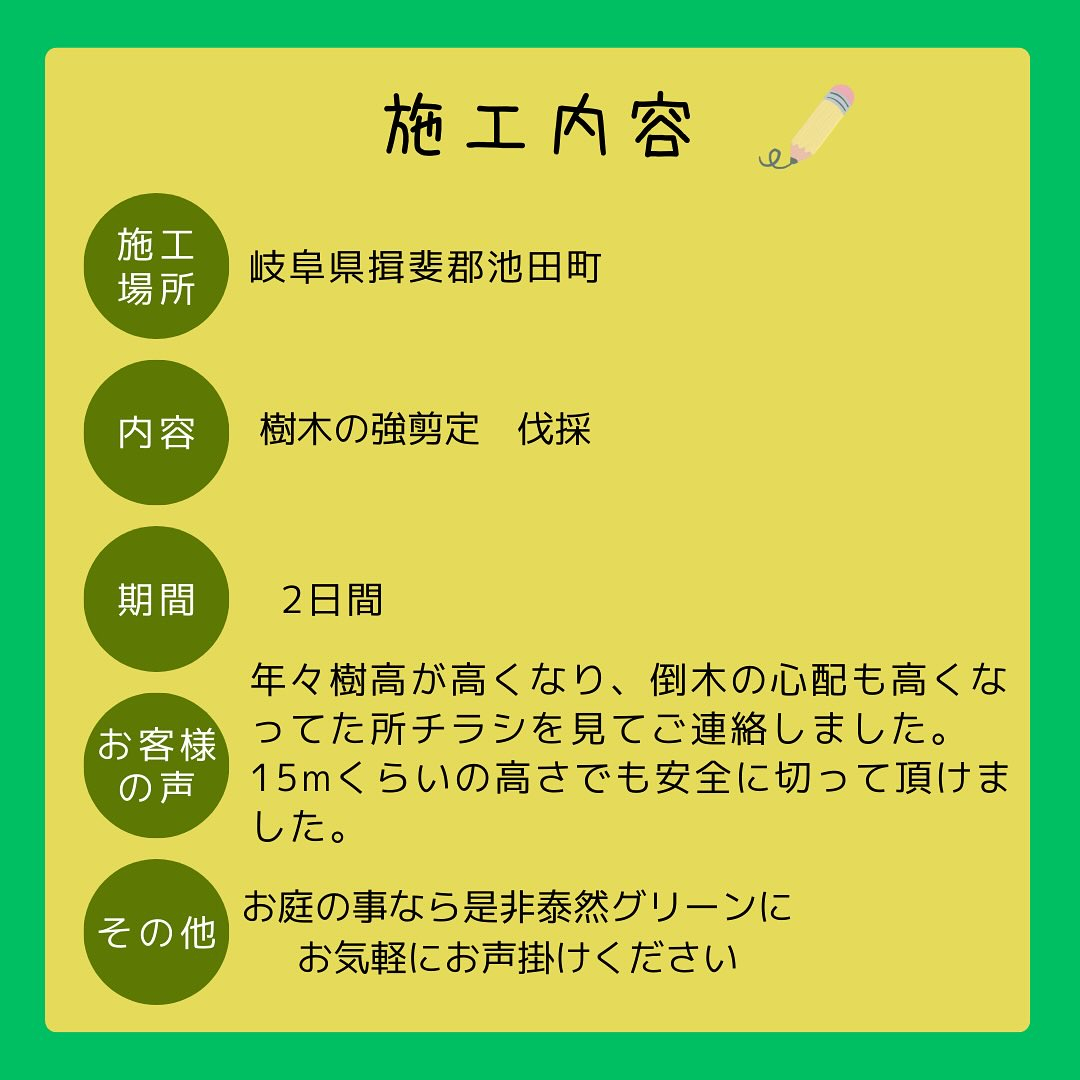 【岐阜県揖斐郡池田町にて🌲】