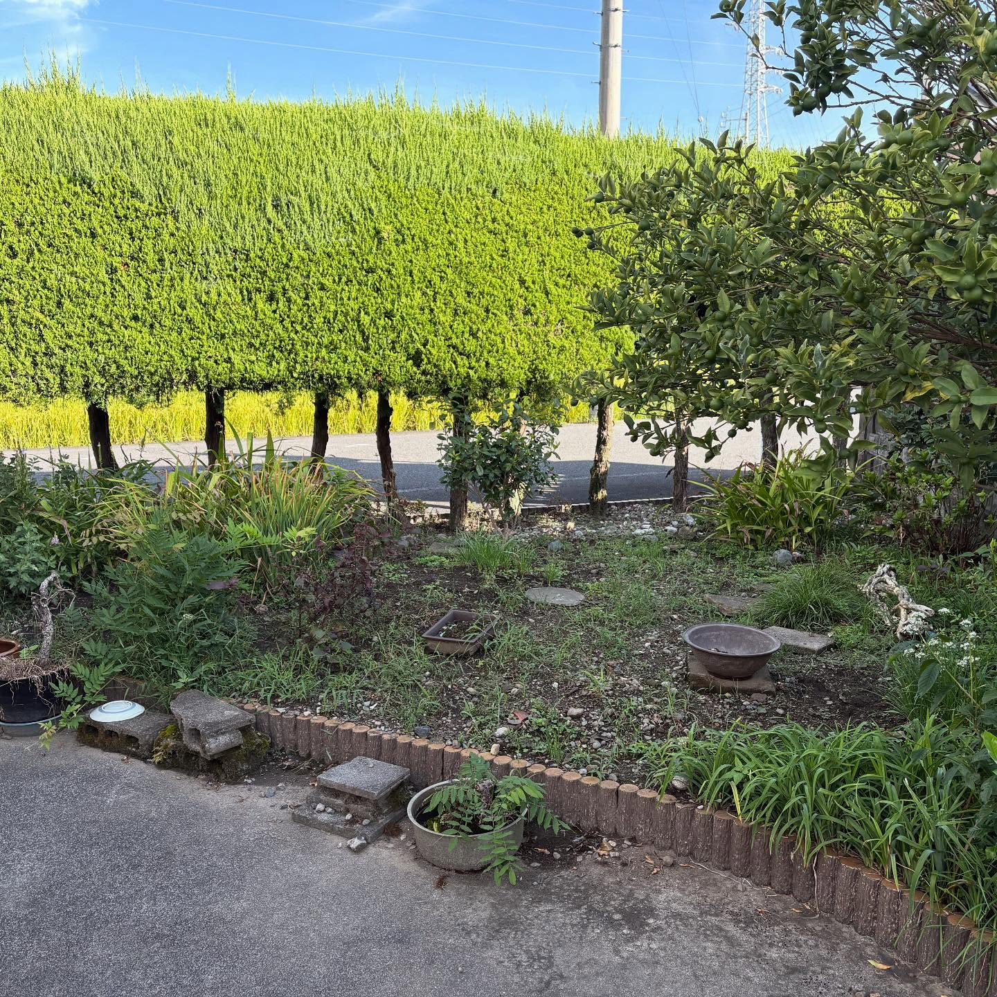 🌿 岐阜県神戸町にてリフォーム外構工事を行いました！ 🏡✨