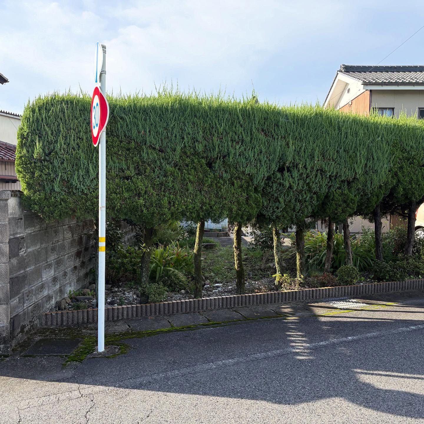🌿 岐阜県神戸町にてリフォーム外構工事を行いました！ 🏡✨